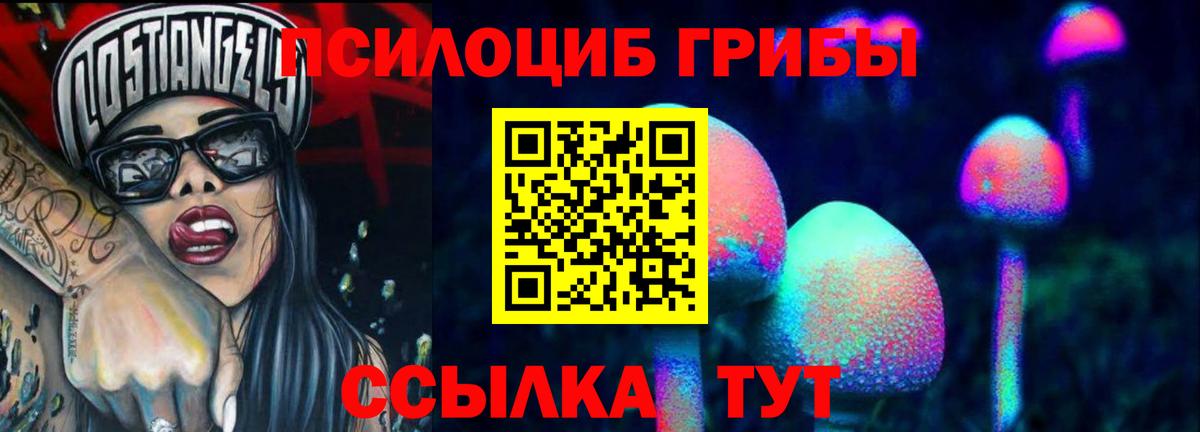 Железноводск  Галлюциногенные грибы Magic Shrooms  Вход с VPN 